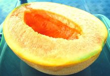 Melone Yubari King: cos’è, dove trovarlo e quanto costa yubari king melone giapponese