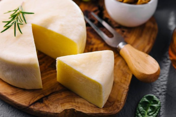 moose-cheese moose-cheese